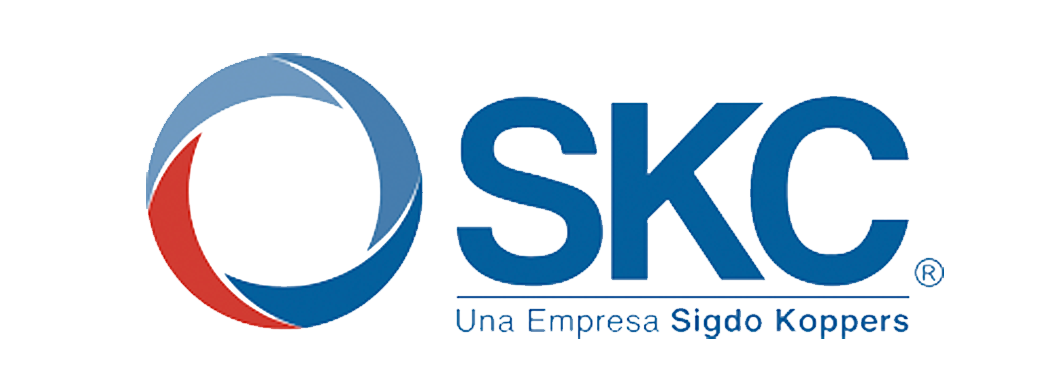 SKC - Cliente de Reyes IA